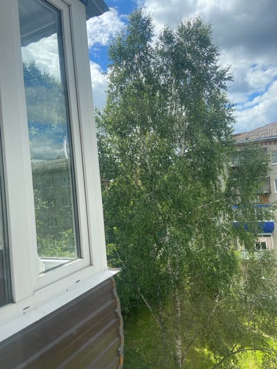 The image, captured from an elevated vantage point, likely a balcony or window, showcases a segment of the urban landscape in Beloretsk, Russia. In the foreground, a white window frame and the brown corrugated siding of a structure dominate the left side. Beyond this, a lush green tree, appearing to be a birch due to its white, peeling bark, stands prominently, its branches laden with leaves. The tree partially obscures a light-colored, multi-story apartment building with visible windows and balconies. The sky above is a mixture of bright blue with scattered white, fluffy clouds, suggesting a partly cloudy day. The overall scene depicts a typical residential area, with nature intertwined with urban architecture.