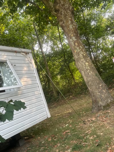 The image depicts an outdoor scene in Rochefort-sur-Loire, France, with a white, A-frame structure resembling a small dwelling or shed in the foreground on the left. This structure is supported by concrete blocks. A large tree with mottled bark, likely a plane tree, dominates the right side of the frame, leaning towards the structure. The ground is covered in grass and fallen leaves. A thin green pole is propped against the tree and extends towards the ground. The background consists of dense green foliage from trees, suggesting a wooded or garden area. Sunlight filters through the leaves, creating dappled light and shadows.