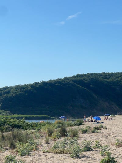 This is a vertical, eye-level, medium shot of a sandy beach with people relaxing under umbrellas. The scene is set against a backdrop of a dense, dark green, tree-covered hillside that slopes down towards the sea. The sky is a clear, bright blue with a wispy white cloud. The sand is light in color, and patches of green vegetation and tall grass are visible along the edge of the beach, separating it from the hillside.
Several people are scattered across the beach, some sitting under blue and white umbrellas, others appearing to be walking or standing. One prominent blue umbrella is in the foreground, with a few individuals gathered around it. Further up the beach, more umbrellas and people are visible. A body of water, likely the sea, is visible in the distance behind the vegetation.
The time of day appears to be sunny and bright, suggesting midday. The weather is clear and pleasant. The presence of umbrellas and beachgoers indicates a recreational setting, likely a warm day at the beach. The location context provided is Sinemorets, Bulgaria, which is known for its Black Sea coastline. No visible text is present in the image.