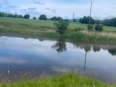 The image displays a serene rural landscape in what is identified as Yana, Bulgaria. The scene is dominated by a calm body of water in the foreground, bordered by lush green grass and reeds.

On the left side of the immediate foreground, a green fishing rod with yellow detailing is visible, extending into the water, suggesting a fishing activity is taking place or imminent. The water surface, reflecting the sky and surrounding foliage, shows gentle ripples and patches of floating debris.

Across the water, the opposite bank features a dense band of tall green reeds and other wetland vegetation. Beyond this, a verdant green field slopes upwards, interspersed with numerous trees and bushes. A particularly bushy, dark green tree stands out towards the center-right of the field.

In the mid-ground and background, the landscape continues with rolling green hills and clusters of trees. Overarching power lines traverse the sky, connecting a distant, distinctive lattice-structured electricity pylon visible on the right with a simpler wooden utility pole positioned closer to the right edge of the frame. The reflection of this utility pole and the trees is clearly visible in the tranquil water. The sky is partly cloudy, contributing to a soft, natural lighting.

There is no visible text in the image. The time of day appears to be daytime, possibly late morning or afternoon, under an overcast or partly cloudy sky. The overall setting conveys a sense of peaceful natural beauty with subtle indications of human infrastructure.