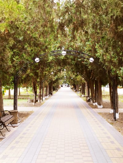 The image shows a paved walkway lined with trees on both sides, forming an archway. The walkway is made of rectangular paving stones in alternating shades of beige and grey. On the left side of the walkway, there is a wooden bench with an ornate metal frame, situated next to a stone planter. The trees are tall and slender with dense foliage, casting shadows on the walkway. The ground beneath the trees is covered with dry leaves and grass. In the distance, people can be seen walking along the path. The scene appears to be a park or promenade. The location is identified as a walkway in Skadovsk, Ukraine.