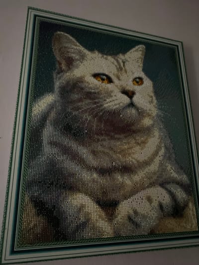 A framed diamond painting or beaded mosaic artwork of a tabby cat is the central subject of the image. The artwork depicts a light-colored cat, primarily in shades of white, grey, and brown, with distinctive amber-orange eyes, seemingly looking upwards. The cat appears relaxed, possibly lying on its back or side. The background of the artwork is a solid, dark green or teal color, providing a contrasting backdrop for the feline.
The artwork is encased in a multi-layered frame. The frame features an innermost dark green border, followed by a lighter green or blue patterned trim, and then a wider, plain light green or blue outer edge. The framed piece is mounted on a plain, light-colored wall, indicating an indoor setting in Raychikhinsk, Russia. The photograph is taken from a slightly low and angled perspective, emphasizing the texture and three-dimensionality of the beaded art. No specific activity is taking place, as the image shows a static piece of art. There is no visible text.