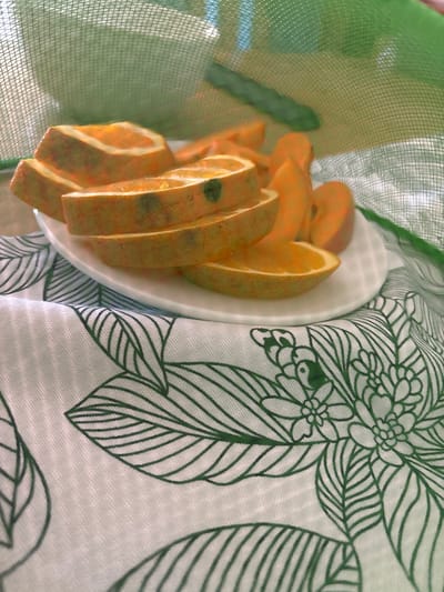 The image shows sliced oranges on a white plate. The plate is placed on a white cloth with a green floral pattern. To the left of the plate, a green mesh fabric is visible. The lighting suggests it might be daytime, possibly indoors or in a shaded outdoor area, as there are visible shadows and diffuse light. The overall scene is still and calm, with the focus on the fruit and the textured fabrics. There is no visible text in the image.