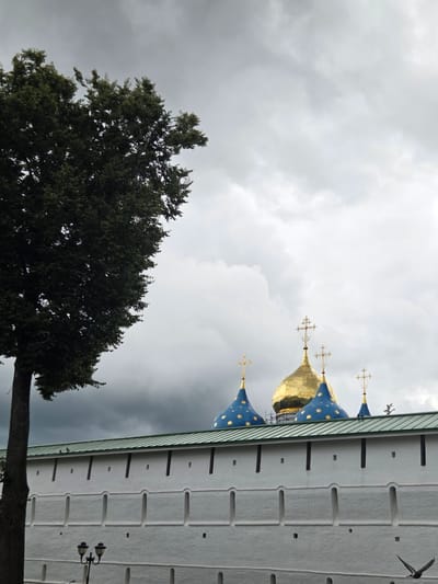 The image captures a detail of the Trinity Lavra of St. Sergius in Sergiyev Posad, Russia, focusing on the upper portions of its iconic domes and a section of a white, fortress-like wall. The composition is oriented vertically, suggesting the photo was taken with the camera held sideways.

Dominating the right side of the frame is a section of a stark white wall, characterized by a textured surface and repeating architectural features, including small dark rectangular openings and a series of recessed, arched sections. A green-tiled roofline is visible at the top of the wall. Perched on the wall is an old-fashioned black lamppost with two lights.

Above and to the left of the wall, several distinctive domes of the monastery's churches are visible. One prominent dome is a lustrous gold, reflecting the sky. Adjacent to it are other domes, covered in a deep blue material adorned with golden star-like patterns. Each dome is topped with a cross, with several ornate, gilded crosses clearly visible against the sky.

On the left side of the image, the dark, dense foliage of a large tree, likely an evergreen, occupies a significant portion of the frame. Its branches reach upwards, partially obscuring the sky.

The sky itself is overcast with heavy, grey clouds, suggesting a potentially gloomy or stormy day. The overall mood conveyed is one of solemnity and historical grandeur, with the man-made structures of the religious complex juxtaposed against the natural element of the tree and the dramatic sky. There is no visible text in the image.