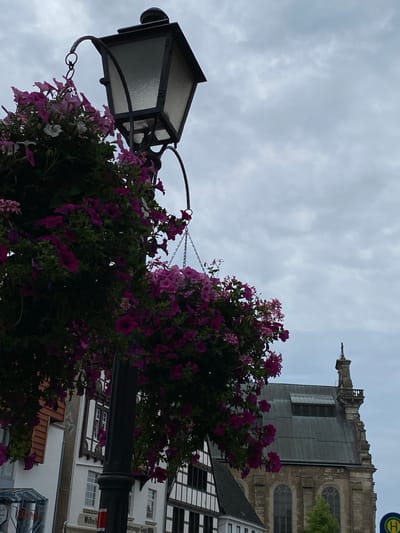 The image depicts a street scene in Bückeburg, Germany, characterized by overcast skies. In the foreground, a lamppost is adorned with a profusion of cascading pink and purple petunias, creating a vibrant floral display. To the right of the lamppost, a building with a distinctive stone facade and a steeply pitched roof is visible, featuring arched windows and ornate architectural details on its spire. To the left of the lamppost, a row of traditional German buildings with white walls and timber-framing accents lines the street, some displaying visible signage, including a partial view of text that appears to be "Wilhelmstr". A blue circular sign with a white 'H' is visible at the far right edge of the image, indicating a bus stop. There are no people visible in the frame.