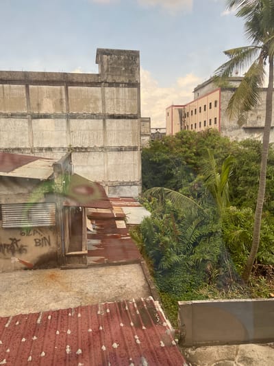 The image depicts an urban scene in Dumai City, Indonesia, characterized by a mix of weathered structures and dense vegetation. In the foreground, a rusty corrugated metal roof, possibly part of a residential dwelling or informal structure, is visible, showing signs of wear and tear with some white paint splatters. To the left, a concrete wall displays graffiti, including the words "GILA" and "BIN."
Adjacent to this, another section of corrugated metal roofing is present, with some sections appearing to be repaired or reinforced. A narrow, dark opening suggests an entrance or passage into a building.
Dominating the mid-ground is a large, imposing concrete building with a segmented facade, appearing aged and possibly disused. Further in the background, another building with a light-colored exterior and a red trim is visible, featuring a row of windows.
A prominent palm tree stands on the right side of the frame, its fronds extending towards the sky. The scene is further enriched by a dense growth of various green plants and trees, creating a stark contrast between the man-made structures and the natural environment. The sky above is partly cloudy, with soft light illuminating the scene. The overall impression is one of urban decay interspersed with vibrant natural elements.
