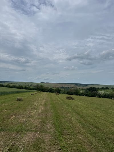 The image depicts a rural scene, likely a field of harvested hay, under a cloudy sky. Located possibly in the vicinity of Topchii, Bulgaria, the field stretches horizontally across the right side of the frame. Bales of hay are scattered along the ground. A line of trees is visible between the field and the sky. The sky is filled with gray and white clouds, suggesting an overcast day.
