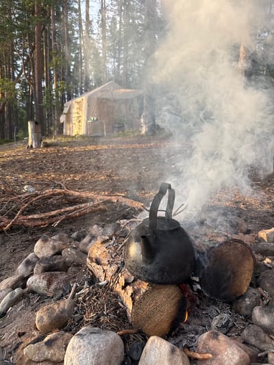 An outdoor scene in the city of Priladozhskoe, Russia, features a campfire with a black kettle being heated. The campfire is made of rocks and logs, with visible embers and flames. White smoke billows from the kettle and disperses into the surrounding forest. In the background, a canvas tent is set up, suggesting a campsite. The environment is a forest with tall trees and scattered branches on the ground. The lighting indicates it is either early morning or late afternoon, with sunlight filtering through the trees. There are no people visible in the image.