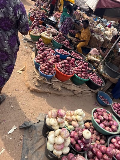This image depicts a bustling outdoor market scene in Ogere, Nigeria, characterized by an extensive display of onions. The foreground shows a partial view of a person's lower body, clad in a purple patterned traditional garment and dark crocs, standing on light brown, compacted earth. Dominating the midground are numerous round plastic basins and woven baskets overflowing with red and white onions, meticulously stacked in conical formations. The basins are various colors including blue, green, orange, yellow, and black. A rough, light-colored fabric or tarp covers the ground beneath several onion displays.
In the mid-right, a dark-skinned individual wearing a mustard-yellow traditional tunic and trousers is seated on a low surface, looking towards the left foreground. To their immediate right, another dark-skinned individual, partially visible, is seated, wearing a patterned top and possibly engaged in an activity involving their hands. Further back and to the left of the yellow-clad individual, another person is seen wearing a green head covering and a patterned dress. The background features additional market stalls, more onion displays, and a mix of people, partially obscured. Overhead, makeshift tarpaulins or awnings provide shade. The overall environment is dusty, well-lit by natural light, and indicative of active commerce.
