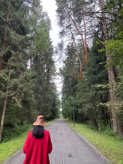 The image depicts a paved pathway through a forest in Pavlovskaya Sloboda, Russia. A person wearing a red sweater and a brown bucket hat is walking away from the camera down the pathway. The pathway is lined on both sides by tall evergreen trees. The ground on either side of the pathway is covered in green grass and undergrowth. A single street lamp is visible on the left side of the pathway. The sky is overcast.