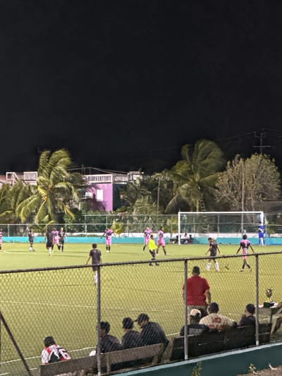 This nighttime image depicts a soccer match on an artificial turf field in San Pedro Town, Belize. In the foreground, a chain-link fence separates the viewer from the playing area. Below the fence, a dark green barrier supports wooden benches where several spectators are seated, primarily men, watching the game. One individual in a red shirt stands behind the seated spectators. To the far right, a golden trophy sits on a table.

On the illuminated green field, multiple soccer players are active. Most players wear either dark-colored uniforms (black jerseys with black shorts) or pink/purple uniforms (pink/purple jerseys with matching shorts). One player on the left wears a bright yellow-green jersey, and another near the right goalpost wears a blue jersey, likely a goalkeeper. Players are distributed across the field in various postures indicative of active play. A white soccer goalpost is prominently visible on the right side of the field.

Beyond the field, a light blue barrier runs horizontally. In the background, tropical vegetation, dominated by numerous palm trees, obscures parts of several buildings. One large palm tree in the center-left has a ladder leaning against its trunk. A prominent two-story building in the background displays a distinct purple hue, with white railings on its upper level. Other structures with white railings are also visible. The sky above is completely dark, indicating nighttime, with utility poles and power lines visible against it on the right side.