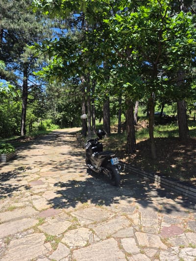 The image depicts an outdoor scene, identified as being in Cherepovo, Bulgaria, on a clear, sunny day. A light-colored pathway, constructed from irregularly shaped flagstones with grass and weeds growing in the gaps, extends from the foreground into the background. The path curves slightly to the left and ascends gently into a wooded area, displaying dappled sunlight and distinct shadows cast by overhead tree foliage.

In the mid-foreground, on the right side of the pathway, a black scooter or motorcycle is parked, oriented with its rear towards the viewer. A black helmet is visible resting on the vehicle's seat. The rear license plate displays the characters "AK 2605" on a white background. On the far left edge of the plate is a blue strip featuring the European Union stars and the country code "AL," indicating an Albanian registration. This visible registration contradicts the provided location of Cherepovo, Bulgaria. Adjacent to the motorcycle, a low, dark-colored stone retaining wall or curb runs parallel to the path.

To the immediate left of the path, a rectangular stone planter contains lush green foliage. Further along the right side of the path, two white, spherical outdoor light fixtures are mounted on posts. The environment is densely wooded with a mix of tall coniferous trees, likely pines, and deciduous trees, identifiable by their broad green leaves. The canopy is thick, allowing glimpses of a clear blue sky overhead. The ground beneath the trees is covered with a mixture of pine needles and fallen leaves. No individuals are present in the scene.