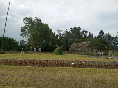 A wide-angle shot captures a park scene under a cloudy sky. A vibrant bed of red flowers lines the foreground. Beyond, manicured grass extends towards a cluster of trees and bushes. Several archery targets are positioned in the grass before the trees. A bush shaped like an animal sits mid-ground. Additional greenery and trees fill the background.