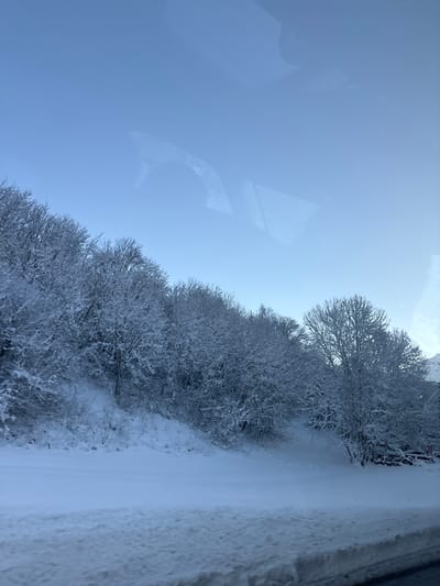 The image displays a winter landscape oriented vertically. The left side is dominated by a clear, light blue sky, featuring distinct reflections of a vehicle's interior, such as a dashboard or window frame, indicating the photo was taken through a window. A dense line of trees and bushes, heavily adorned with pristine white snow and frost, forms a prominent band from the bottom to the top right of the frame. The intricate, snow-covered branches create a delicate natural barrier. To the right of this snowy foliage, a path or road, also covered in snow, extends upwards, with deeper, textured snow along its outer edge. The scene suggests a cold, bright winter day, likely observed during travel through the snowy terrain. This aligns with the provided location context of Séez, France, characteristic of the French Alps in winter. No visible text is present in the scene.