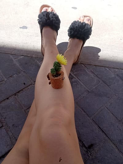 The image shows a person's legs crossed, with a small potted cactus on the thigh of the top leg. The person is wearing black sandals with fluffy embellishments. The background appears to be a cobblestone or brick pathway, with some sunlight and shadows. The scene is outdoors. It is not possible to determine the exact location in the city of Priego de Córdoba, Spain, based solely on the provided image.
