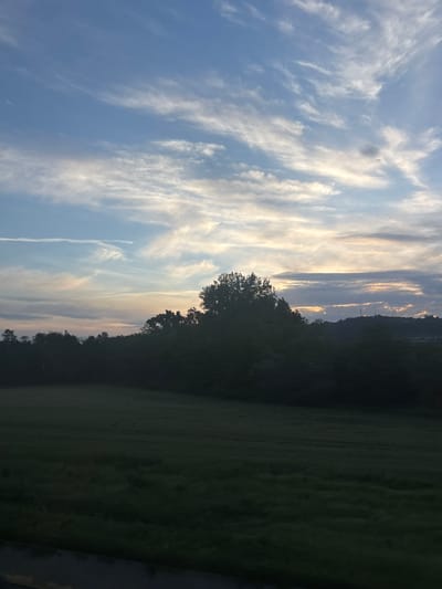 The image depicts a landscape in Obrenovac Urban Municipality, Serbia. The sky is a mixture of light blue and white, filled with wispy clouds. A band of sunlight illuminates the clouds near the horizon, creating a soft, golden hue. The right side of the image shows a dark green expanse of land, possibly a field or park, bordered by a dense line of trees. The silhouettes of the trees are visible against the sky. The lighting suggests the image was taken during sunset or sunrise. There are no people visible in the scene.