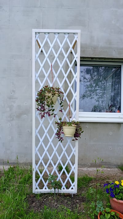 The image shows an exterior scene in Lipovo, Russia. In the center, a white wooden trellis stands vertically against a grey concrete wall. Two light-colored planters, each containing a trailing plant with dark purple and green leaves, hang from orange cords attached to the trellis. To the right of the trellis is a white-framed window with reflections of trees and sky visible in the glass. The ground in front of the wall is covered with green grass and some patches of soil. In the lower right corner, two terracotta pots contain flowering plants, one with purple and yellow blooms and another with green foliage. A small rose bush is planted in the ground near the base of the trellis. The scene appears to be an outdoor residential area.
