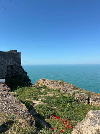 The image depicts a view from a cliffside overlooking the sea, in Balgarevo, Bulgaria. The sky is clear blue. The sea is a gradient from darker to lighter blue towards the horizon. On the right side of the frame, a rocky cliff is covered with green grass and patches of red poppies. The cliff edge appears uneven and natural.
On the left side, there is a partially ruined stone structure or wall. The construction is old, with stones fit together to form a wall. The image is taken from an elevated perspective, looking down onto the sea and across to the horizon.