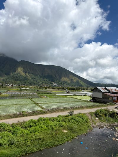 The image depicts a landscape in Sembalun Bumbung, Indonesia. A tall mountain dominates the left side, its peak partially obscured by clouds. The sky above shows a mix of blue sky and white, fluffy clouds.
To the right of the mountain, terraced rice paddies stretch towards the foreground. The paddies appear to be flooded with water, reflecting the sky. A building sits at the edge of the rice paddies, next to a dirt path.
To the right of the path, lush green vegetation grows along the bank of a narrow river. The river flows in the foreground, and visible trash litters the water and bank. No people are discernible in the scene.