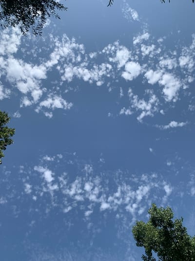This is a low-angle shot of a bright blue sky dotted with scattered, fluffy white clouds. The sky appears clear and vast, suggesting a pleasant day. The presence of foliage from trees frames the bottom and edges of the image, indicating an outdoor setting in a location with greenery, possibly a park or garden. The sunlight filtering through the leaves of the trees suggests it is daytime, likely late morning or early afternoon due to the brightness. No people or specific objects are visible besides the natural elements of sky, clouds, and trees. The overall mood is serene and tranquil, with a focus on the natural beauty of the sky. There is no visible text in the image.