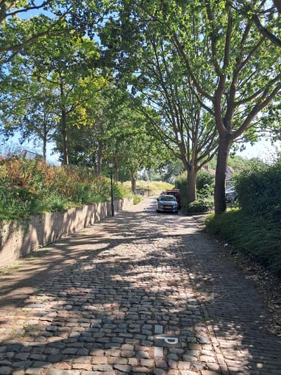 The image shows a sun-dappled cobblestone path alongside a line of trees and dense greenery, suggesting a pleasant day in Brill, Netherlands. The path is bordered on the right by a stone wall, also paved with cobblestones, and on the left by a strip of grass and bushes, beneath the canopy of mature trees. A black car and a red car are parked on the path, with a white letter "P" clearly visible painted on the cobblestones, indicating a parking area. The sunlight filters through the leaves of the trees, casting dappled shadows across the path and the wall. The foliage is lush and green, with some drier, brown vegetation present in the undergrowth. A single black lamppost stands along the path, and in the distance, more greenery and a hint of buildings can be seen. The sky is a clear, bright blue. The overall impression is one of a quiet, well-maintained outdoor space on a sunny day.