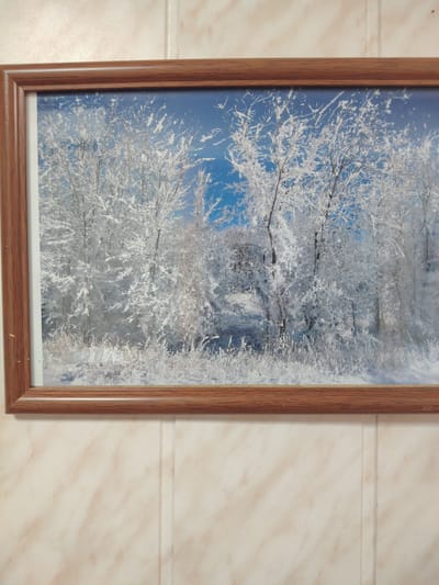 This is a framed photograph of a winter forest scene. The trees are covered in snow and frost, with their branches creating intricate patterns against a bright blue sky. The ground is also covered in snow, with some dry grasses peeking through. The overall mood is peaceful and serene, evoking a sense of cold and quiet beauty. The photograph is framed with a simple wooden frame. There is no visible text in the image. The lighting suggests it is daytime, likely with clear skies, and the presence of snow indicates cold weather. The scene depicts a natural landscape, suggesting it was taken outdoors in a forested area.