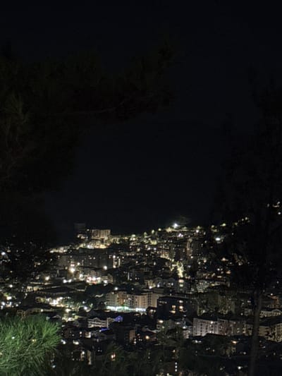 The image captures a nighttime view of a settlement with illuminated buildings, likely a town or village, nestled amidst dark foliage. The lights from the buildings create a warm, scattered glow against the blackness of the night. The perspective suggests the viewer is looking down from a higher vantage point, possibly overlooking the settlement from a hillside or a treetop. A portion of a dark green, coniferous tree with textured needles is visible in the foreground on the right side of the image, adding a natural element to the scene. The overall impression is one of a serene and possibly remote location, observed at night. The activity depicted is simply the passive observation of a lit-up settlement under the cover of darkness. No specific people or objects are discernible beyond the general structures and lights of the settlement and the foreground tree. The time of day is clearly night. There are no indications of weather conditions or specific emotions conveyed. No visible text is present in the image. The location context provided is Košljun, Montenegro.