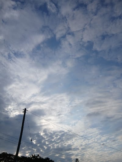 The image captures a daytime sky scene in Muthetheni ward, Kenya. The majority of the frame is occupied by an overcast sky featuring a mixture of cloud types, including wispy cirrus and streaky cirrocumulus clouds in the upper areas, with denser, textured altocumulus and stratocumulus formations prominent in the mid-to-lower sections. Patches of lighter blue sky are visible between the clouds. In the lower-left quadrant, a dark utility pole is visible, extending vertically upwards from the bottom edge. Multiple thin, dark power lines are strung across the frame, originating from or passing near the pole. A small, dark, oblong object, consistent with an insulator or component, is suspended from one of the lower power lines. The extreme bottom edge of the frame shows a dark, silhouetted line of dense tree foliage. No people or animals are present.