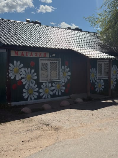 The image shows a one-story building in Янино-2, Russia. The building has a dark green corrugated metal facade adorned with painted white daisies and red circles. The word "МАГАЗИН" (store) is painted vertically in red on a light-colored strip next to a window protected by a white metal grate. The building has a dark grey metal roof. To the left, there is a blue sky with white clouds and a tree branch. To the right is a gray pavement.