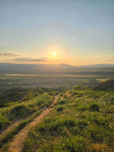 The image presents a panoramic view of the town of Stob, Bulgaria, observed from a high vantage point on a sloping, grassy hillside during the golden hour, likely sunset. The sky displays a gradient of color, transitioning from light blue at the zenith to warm yellows and oranges near the horizon, where the sun is visible as a bright, distinct orb positioned slightly to the left of the image center. A faint, white airplane contrail is discernible in the upper right quadrant of the sky.
In the immediate foreground, a winding, unpaved dirt path, light brown in color, traverses the verdant hillside, descending from the lower-left corner. The ground is covered with lush green grass, interspersed with patches of drier vegetation and numerous small white wildflowers, particularly dense on the right side of the path. The low angle of the sun casts long, defined shadows from the grass and terrain undulations, highlighting the texture of the hillside.
In the midground, the valley floor unfolds, revealing the town of Stob nestled amidst trees and agricultural fields. The town's buildings are clustered, though specific architectural details are indistinct due to the distance. Surrounding the town are various fields, some appearing green, others a lighter hue, interspersed with areas of woodland and gentle, vegetated hills.
The background features multiple layers of mountains or large hills extending across the horizon. These distant landforms appear progressively lighter and bluer, indicative of atmospheric haze. No people, animals, or prominent specific man-made objects are present in the observable scene beyond the distant town structures.