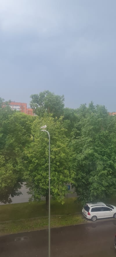 The image depicts an outdoor scene in what appears to be a residential area, possibly in Sillamäe, Estonia. The perspective is from an elevated viewpoint, looking down and across a street lined with trees. In the foreground, a street lamp with two birds perched on it is visible, positioned horizontally across the frame. Beyond the lamp, a dense canopy of lush green trees dominates the view.
Further in the background, an orange and white apartment building can be seen peeking through the trees, suggesting an urban or suburban setting. On the right side of the image, a white car is parked along the curb of a wet asphalt road, indicating recent rain or damp conditions. The sky is overcast and a pale blue, suggesting a cloudy or hazy day, likely during daylight hours, though the specific time is not discernible.
No people are visible in the image. The overall mood is serene and quiet, with the focus on the natural elements of trees and birds, contrasted with the man-made structures of the lamp post, building, and car. There is a small blue sign with white symbols visible on a post near the edge of the road and grass, partially obscured by trees, which could be a traffic or informational sign. No legible text is present in the image.
