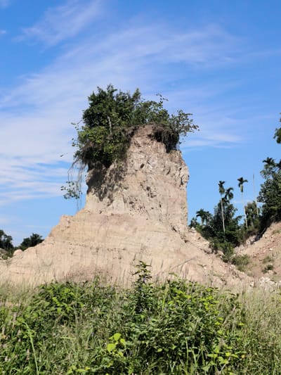 A prominent natural landscape in Seuneubok, Indonesia, is captured under a bright blue sky with wispy white clouds. The central feature is a tall, eroded rock formation, likely a geological pillar or hoodoo, composed of light-colored rock or earth with visible horizontal striations from erosion. Its summit is adorned with lush green bushes and small trees, with some foliage and vines cascading down its sides.
The foreground is densely covered in wild vegetation, including tall green grasses and various leafy plants, some displaying small purple or pinkish flowers. To the right of the main formation, the landscape slopes down, revealing more green foliage and several slender palm trees with their characteristic fronds, hinting at a tropical setting.
The scene is illuminated by natural daylight, casting subtle shadows and indicating fair weather. No people, animals, or man-made structures are visible, emphasizing the natural and untouched character of this eroded terrain. The image conveys a sense of natural tranquility and highlights the unique geological features shaped by environmental processes.