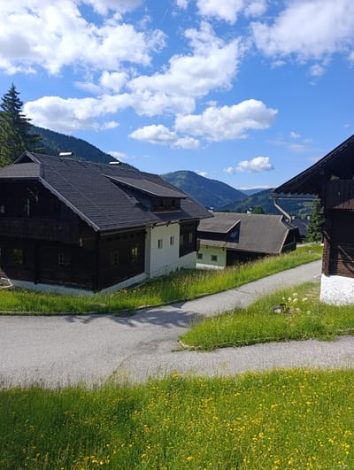 The image depicts a view of rural buildings nestled in the Austrian countryside, specifically in Sankt Oswald. The foreground is dominated by a lush green meadow dotted with numerous small yellow wildflowers. Two winding paved paths, likely roads or walkways, traverse the grassy terrain, with one path leading towards the right edge of the frame and another curving into the middle ground.

Several traditional wooden chalets are visible. The largest chalet on the left features a dark wooden facade, a steep dark roof, and several windows. A balcony runs along the upper level, adorned with decorative wooden railings. A deer skull mounted on the facade is a prominent detail. Adjacent to this chalet, a section of the building is painted white, with a few square windows.

Further into the scene, more chalets with dark roofs are interspersed with evergreen trees and rolling green hills that recede into the distance. The background is characterized by a dramatic mountain landscape under a bright blue sky filled with fluffy white clouds. A faint contrail from an aircraft is visible in the upper right portion of the sky. The overall atmosphere is serene and idyllic, characteristic of a mountain village during daytime. There are no people or animals visible in the frame.
