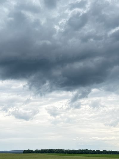 The image presents a panoramic landscape depicting a rural expanse under a dynamic sky, located in Zanky, Ukraine. The sky, which occupies the majority of the frame, exhibits a dramatic contrast. The left side is dominated by dense, dark grey clouds, heavy and textured, suggesting an approaching storm or post-storm conditions. Towards the right, the cloud cover transitions sharply into lighter, more scattered white and pale grey formations, allowing brighter ambient light to filter through.
Below the distinct horizon line, the terrestrial features are visible. A thick, dark green band of trees, likely a forest edge, stretches horizontally across the left side of the lower portion of the image. Adjacent to the trees and extending to the right is a vibrant green field, suggesting agricultural use or pastureland. The overall lighting is diffused but indicates daytime, possibly late afternoon, given the intensity and varying brightness of the cloud formations. No people, animals, significant man-made structures, or visible text are present. The photograph captures a moment of natural grandeur, highlighting the vastness of the sky and the changing atmospheric conditions over the landscape.