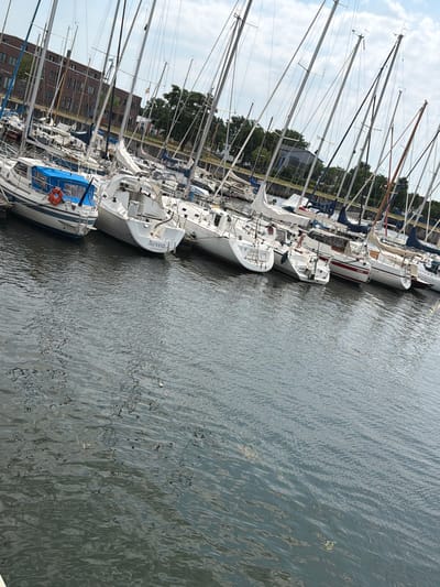 The image shows a view of a harbor in Wismar, Germany, with numerous sailboats docked. The boats are various sizes and colors, with white hulls being the most prominent. Some boats have blue coverings over their cockpits. The masts of the sailboats extend upwards, creating a dense forest of rigging against a partly cloudy sky. In the background, there is a brick building with windows, likely a part of the harbor infrastructure. Trees are visible behind the building, and further in the distance, more sailboats are moored. The water in the harbor is dark and shows ripples. There are no people visible in the image. The scene depicts a typical day at a marina in Wismar.