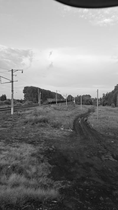 In the city of Sheragul, Russia, a black and white image captures a rural landscape with a train track. The sky above is overcast, with a few scattered clouds. The foreground is dominated by tall grass and a dirt road that curves to the right. In the midground, a train with several carriages is moving along the tracks. Overhead power lines for the train are supported by tall, slender poles. A line of trees forms a backdrop behind the train tracks, and further in the distance, more trees can be seen. The overall scene depicts a quiet, possibly rural, area with active transportation infrastructure.