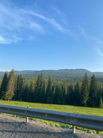 The image depicts a landscape scene with a clear blue sky and wispy clouds, overlooking a vast forest. In the foreground, a metal guardrail runs horizontally across the frame, with a gravel road beneath it. Beyond the guardrail is a bright green meadow dotted with small yellow flowers. A dense forest of tall evergreen trees stretches across the midground, leading to rolling hills covered in more trees in the background. The overall impression is of a natural, undeveloped environment, likely a rural or wilderness area. The location is identified as T/B Seminskii Pereval, Russia.