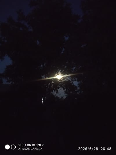 This is a night-time, low-light image taken outdoors, likely in an urban or suburban environment, with the city of Khalkabad, Uzbekistan, implied by the timestamp at the bottom right of the image: "2026/6/28 20:48". The primary focus is a cluster of dark tree foliage against a deep blue-black sky. A bright, elongated light source, possibly a streetlamp or a strong distant light, is visible behind and partially obscured by the leaves, casting a yellowish-white glare and a subtle lens flare across the scene. Two small, vertical white vertical lines are also visible below the light source, their nature unclear in the low light. The bottom left of the image contains text overlay, indicating the camera used: "SHOT ON REDMI 7 AI DUAL CAMERA". The overall impression is a dimly lit outdoor area at night, with natural elements like trees and an artificial light source.