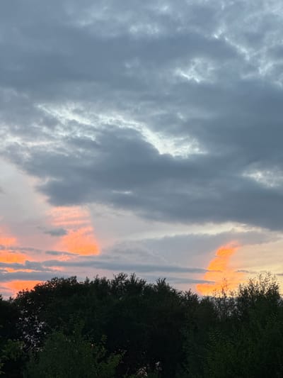 The image captures a dramatic sky with a mix of dark, gray clouds and streaks of vibrant orange and pink, suggesting a sunset or sunrise. The clouds are textured and layered, with some areas illuminated by the setting or rising sun, creating a contrast between light and shadow. In the foreground, the dark silhouette of dense green foliage frames the right side of the image, possibly indicating trees or bushes. The orientation of the image is vertical. The scene appears to be outdoors, with the sky as the dominant subject. There is no indication of people, objects, or text within the frame. The overall mood is one of natural beauty and atmospheric intensity. The time of day is either sunrise or sunset, given the colored clouds. The weather is cloudy but not necessarily raining. The location context is Novopokrovka, Kyrgyzstan.