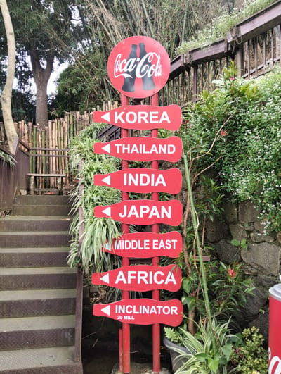 A red Coca-Cola sign with the brand logo and two bottle silhouettes is positioned atop a vertical pole. Below this, a series of red, arrow-shaped signs point left, each with white lettering indicating different global locations. From top to bottom, these read: KOREA, THAILAND, INDIA, JAPAN, MIDDLE EAST, AFRICA, and INCLINATOR 20 MILL. The signs are set against a backdrop of lush greenery, including bamboo stalks, trees, and various plants. To the left of the signs, a metal staircase with diamond plate treads ascends. A bamboo fence is visible behind the staircase. In the background, a wooden railing and some stone wall are present. The scene appears to be outdoors, possibly in a park or tourist attraction.