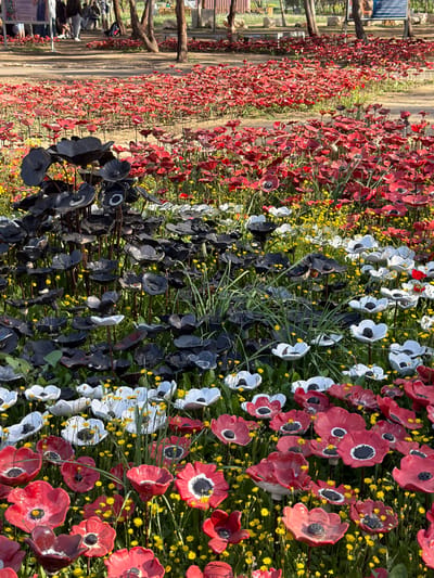 An outdoor art installation or memorial is depicted within the Eshkol Regional Council, Israel. The scene features a field of thousands of artificial flowers crafted from a durable material, resembling ceramic. The foreground displays rows of red, white, and black flowers, each with a dark center, intermingled with natural small yellow flowers and green foliage. A prominent patch of entirely black artificial flowers occupies the mid-ground. The background extends into a large field primarily populated by red artificial flowers. Each flower is mounted on a slender stem. In the distant background, several indistinct human figures walk on an unpaved path among trees, indicating a public area under natural daylight.