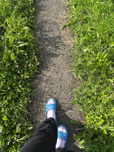 The image shows a pair of feet wearing blue slides and white socks, standing on a path. The path appears to be made of asphalt and is bordered by lush green grass and clover with small pink flowers. Sunlight casts shadows on the path, suggesting it is daytime. The overall scene is outdoors, likely in a natural or park-like setting. The perspective is from above, looking down at the feet and the surrounding environment. There are no visible people other than the feet shown. The image does not contain any discernible text.