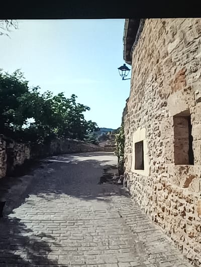 The image shows a narrow, cobblestone alleyway in Vitoria-Gasteiz, Spain, bordered by a weathered stone building on the right and a stone wall with lush green foliage on the left. The building features two rectangular windows, one with a lighter stone surround. A traditional black lantern is mounted on the building's exterior. The alleyway is cast in shadow, indicating it is a sunny day. The sky is a clear, light blue. The cobblestones appear worn and uneven, suggesting the alley is historic. The scene evokes a sense of old-world charm and tranquility.