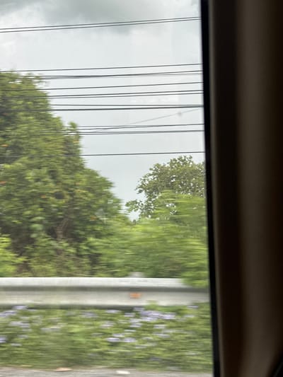 The image shows a blurred view of a roadside scene from a moving vehicle, likely taken in the vicinity of Ben Cau, Vietnam. The foreground is dominated by a brown interior panel on the right, suggesting the vantage point is from inside a car or bus. Beyond this, through a window, a landscape is visible. Several horizontal black power lines stretch across the sky, which is overcast and pale. Below the power lines, a dense line of green trees with some orange-tinged foliage is blurred by motion. A reflective silver guardrail runs horizontally across the mid-ground, separating the road from a strip of vegetation below. This lower vegetation features a blurred carpet of small purple flowers interspersed with green foliage. The overall impression is of a journey through a green, possibly rural or semi-rural, area.