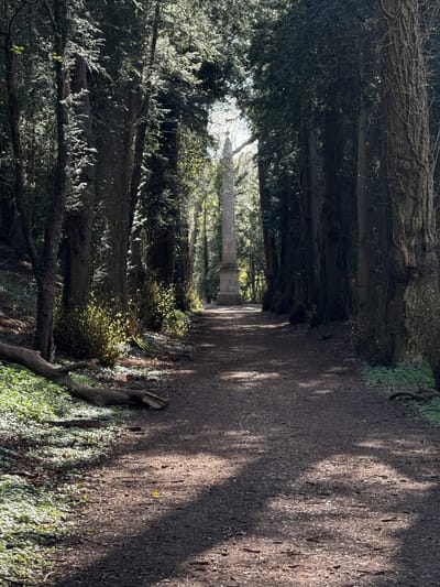 A low-angle view of a dirt pathway, covered with leaf litter, running through a dense tree line on the other side. The scene shows a sunlit clearing revealing a tall obelisk at the path's end. The tree line consists of deciduous trees, some still bare with visible branches, and others budding with spring foliage. The environment is dappled with sunlight. The location is the Gaddesden Estate in Dacorum, United Kingdom. No people are visible.