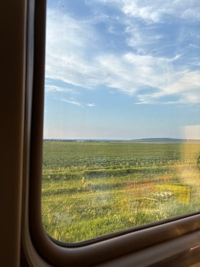 The image shows a view through a train window, looking out at a vast green landscape. In the foreground, the brown interior of the train window frame is visible, curving around the edge of the frame. The main subject of the image is a large, flat field of green crops, possibly sunflowers or a similar agricultural crop, stretching towards the horizon. The field is dotted with smaller wildflowers. In the distance, a faint line of trees can be seen along the horizon, with rolling hills beyond. The sky above is a clear blue with wispy white clouds, suggesting a sunny day. The overall impression is one of a rural landscape viewed from a moving vehicle. The location is Poselok Zelenaya Roshcha, Russia.