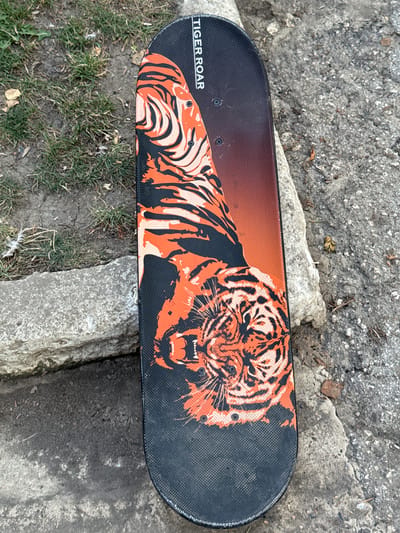 A skateboard with a tiger roar design is lying on the ground next to a concrete barrier and some grass. The skateboard is mostly black with an orange and black tiger graphic covering the top half. The text "TIGER ROAR" is visible in white lettering at the top of the skateboard. The ground is a mix of dirt and asphalt, with some dry leaves scattered around. This scene is located in Sadovoe, Moldova.