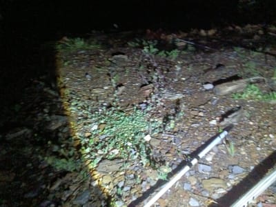 This nighttime image captures an outdoor ground-level scene illuminated by artificial light. The terrain consists of uneven soil and numerous small, angular rocks, predominantly in shades of brown, grey, and black. Scattered across this rocky ground are patches of green vegetation, including weeds and grasses, with a more dense cluster visible in the central area. Some of the plants show signs of reddish or purplish stems.
In the foreground, two light-colored, cylindrical objects, likely pipes or rods, are visible lying diagonally on the ground. One extends from the bottom right towards the center, while another piece is in the bottom left-center, also extending diagonally. Several pieces of debris, including what appears to be a small log or block of wood, are distributed across the middle and right side of the frame.
The scene is lit by strong, directional artificial light sources, creating sharp contrasts between brightly illuminated areas and deep shadows. The overall darkness of the unlit portions of the image clearly indicates that it is nighttime. There are no people present, and no specific activity or event is discernible beyond the static display of the environment. The setting appears to be an unpaved, possibly natural or disturbed area, consistent with a park or wild landscape in Park Hill, United States. No visible text is present in the image.