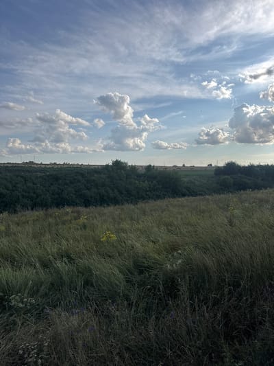 The image depicts a landscape under a partly cloudy sky. In the foreground, tall, dry grass dominates, interspersed with some green vegetation and a few small yellow and purple wildflowers. A dense, dark green hedge or treeline forms a distinct horizontal band across the mid-ground. Beyond this, the horizon shows a flat, open landscape with some distant trees, agricultural fields, and what appear to be power lines or communication towers. The sky is a mix of blue sky and scattered white, puffy clouds, with some wispy cirrus clouds higher up. The lighting suggests it is daytime, possibly late afternoon, with the sun casting some shadows. The scene is natural and rural, characteristic of the outskirts of a settlement like Lyhivka, Ukraine. There are no people or animals visible in the image.