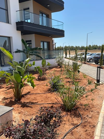 The image depicts a sunny outdoor scene in Spathariko, Northern Cyprus. In the foreground, a landscaped garden area is visible, featuring red soil, various green plants including large-leafed tropical plants and a clump of grass-like plants. Drip irrigation lines are laid out on the soil. A dark grey, modern building with balconies and glass railings is situated to the left and center of the image. To the right, a paved walkway runs alongside the garden, and a row of parked cars is visible in the background, along with a line of slender trees and distant vegetation under a clear blue sky. The overall impression is of a well-maintained residential or commercial property in a warm climate.